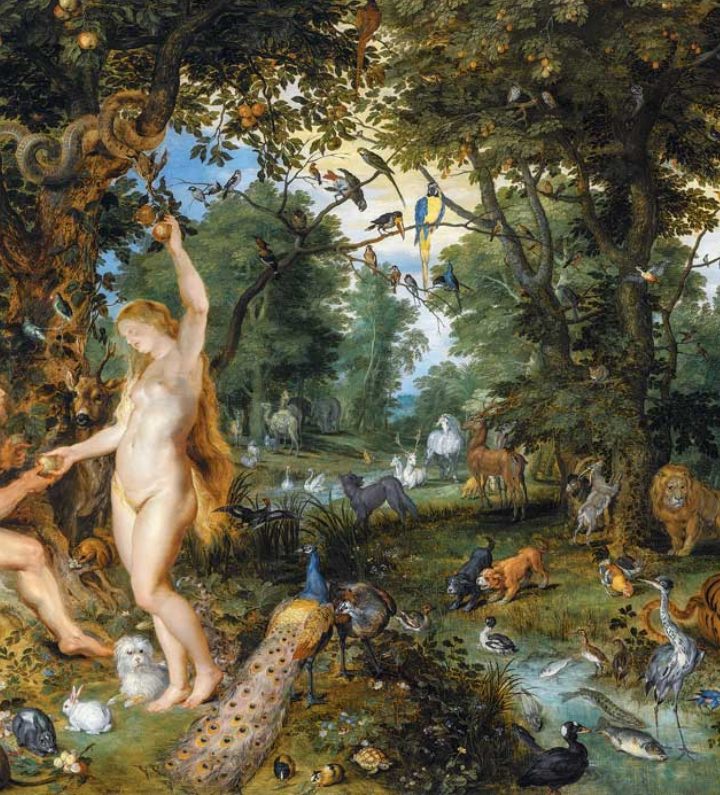 Eve’s Fall: The First Act of Freedom